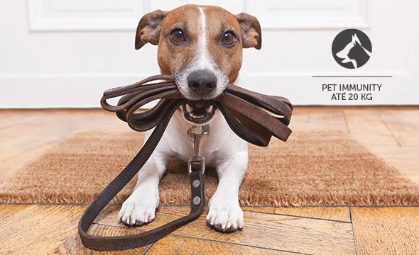 Monitoramento residencial 24 horas em Lauro de Freitas